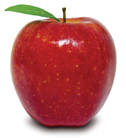 Common Core - apple